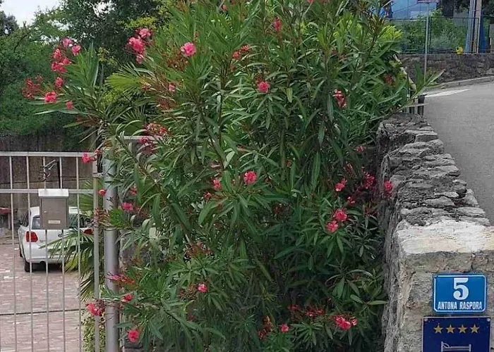 Oleandri A2 Mit Meerblickbalkon By Interhome