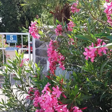 Daire Oleandri A2 Mit Meerblickbalkon By Interhome *